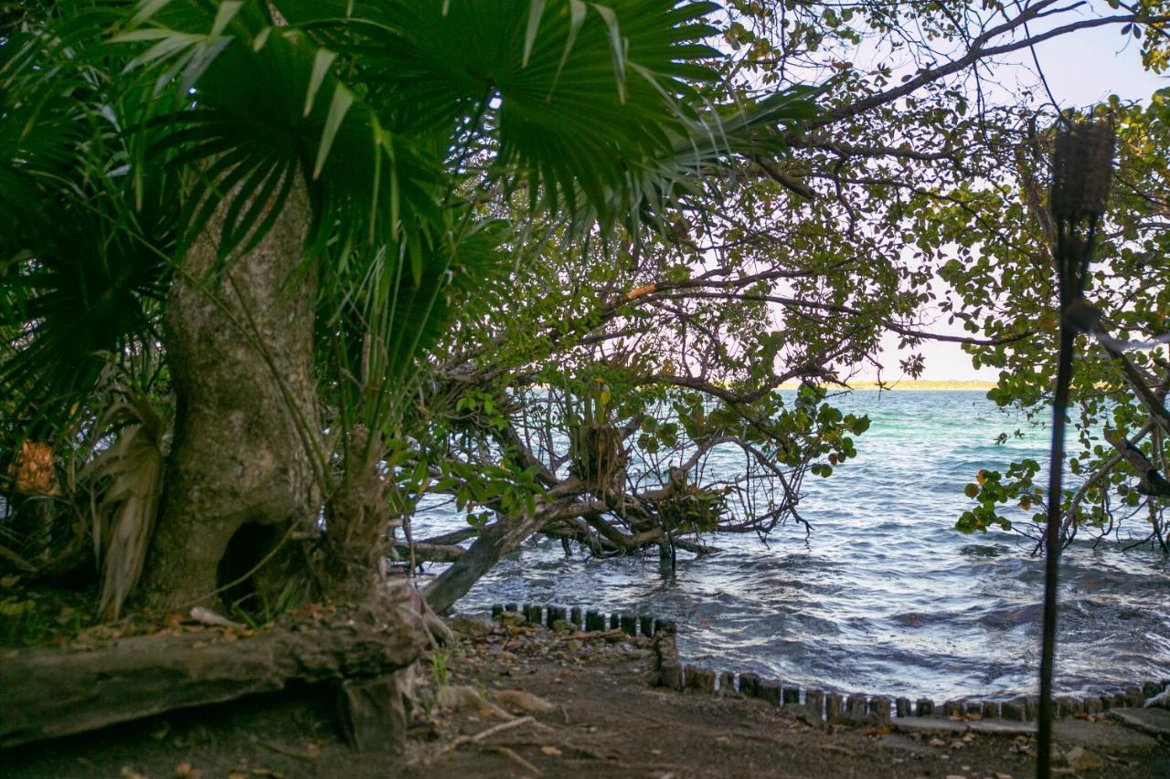 Hotel Buenavista Bacalar Jungle Experience Buenavista (Quintana Roo) Exterior foto