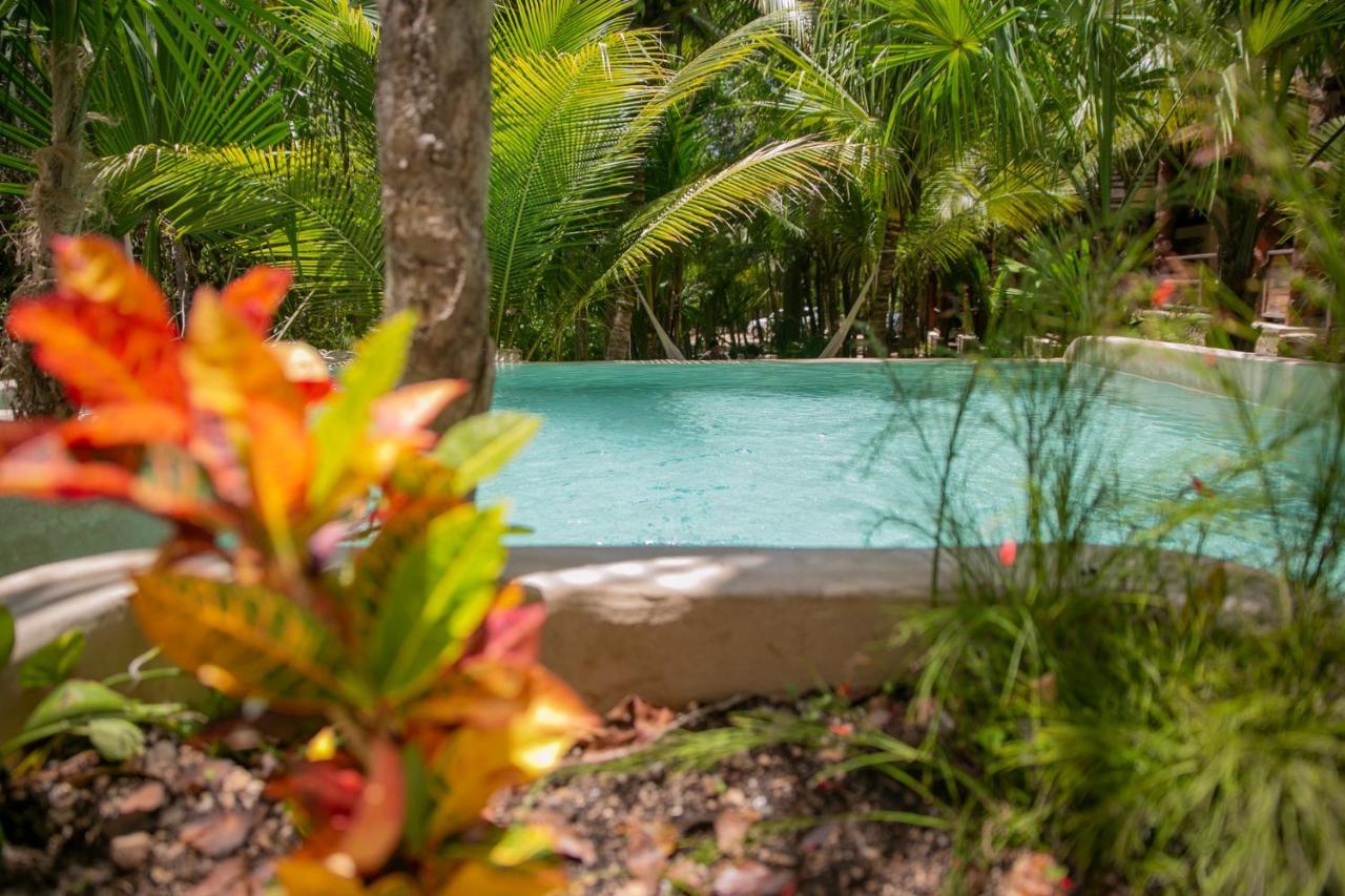 Hotel Buenavista Bacalar Jungle Experience Buenavista (Quintana Roo) Exterior foto