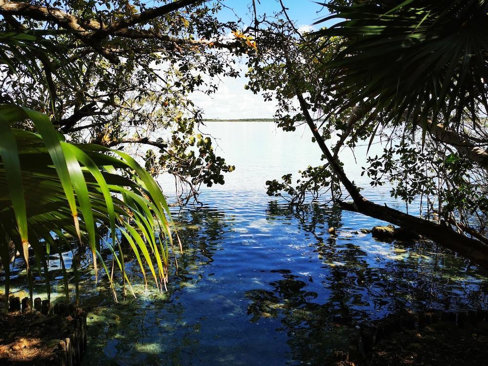 Hotel Buenavista Bacalar Jungle Experience Buenavista (Quintana Roo) Exterior foto
